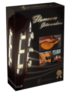 Flamencogitarre lernen Flamencogitarre lernen