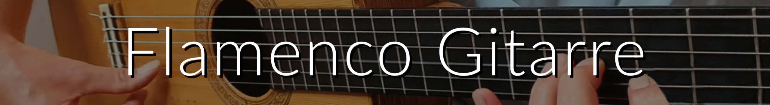 Flamenco Gitarre Flamenco Gitarre