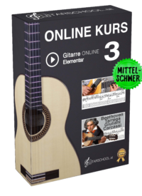 Onlinekurs Gitarre